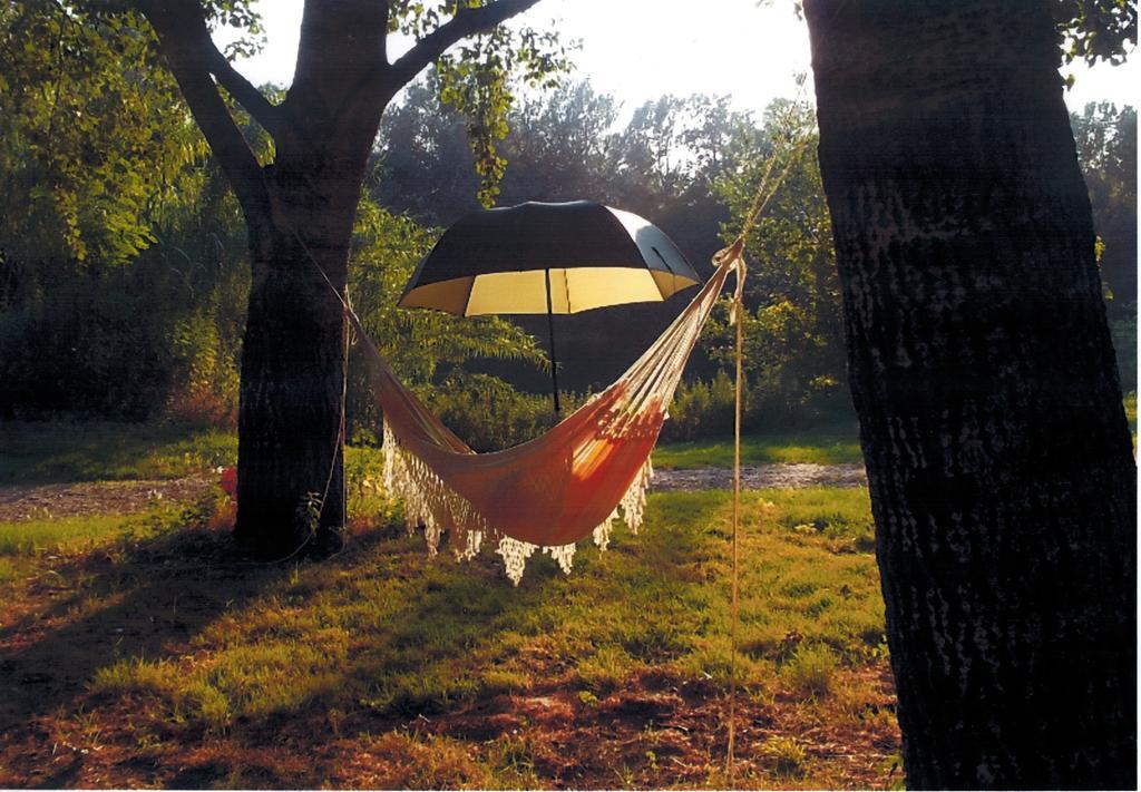 Camping Paradis Bellerive Montfrin Exteriör bild