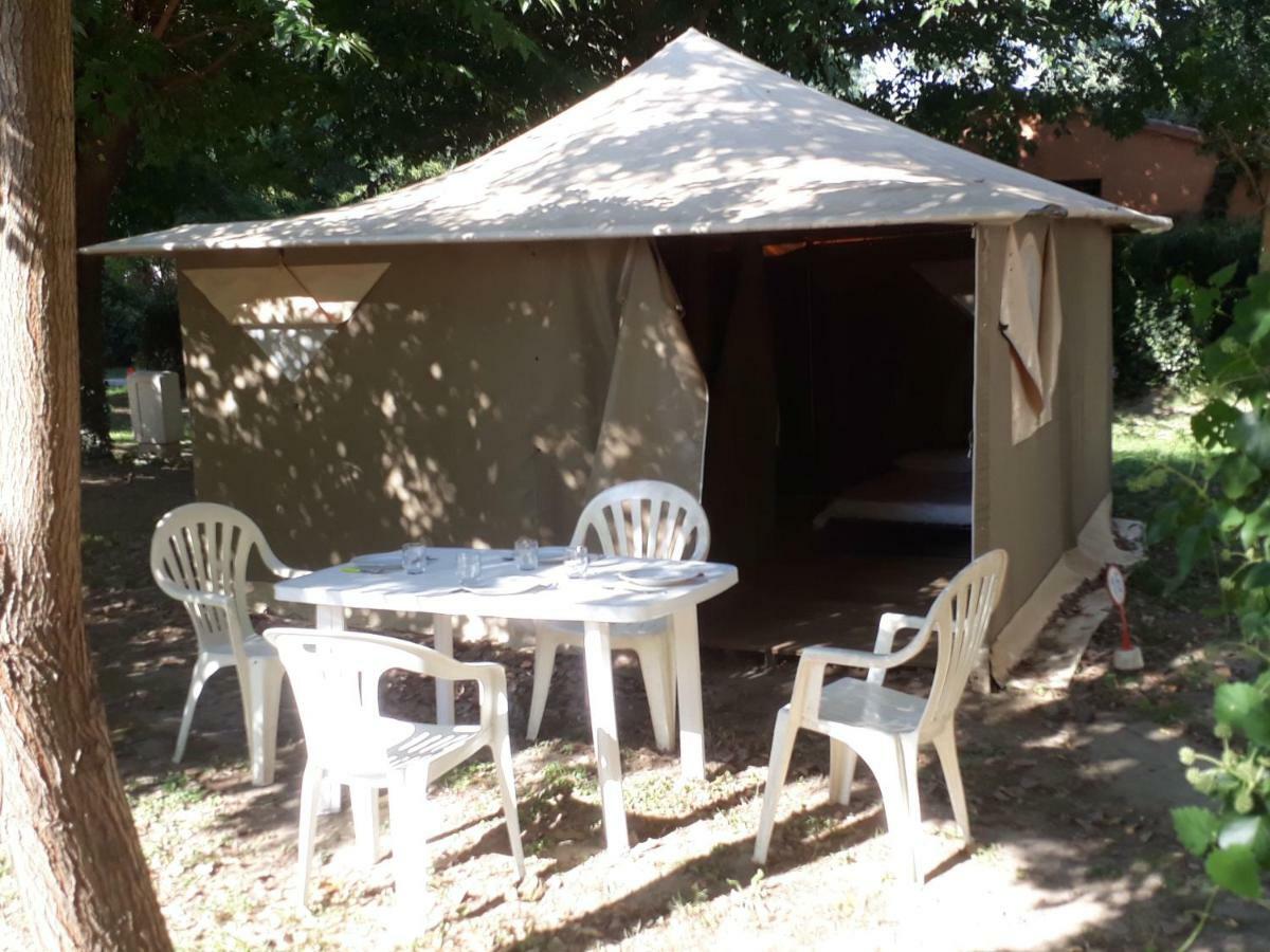 Camping Paradis Bellerive Montfrin Exteriör bild