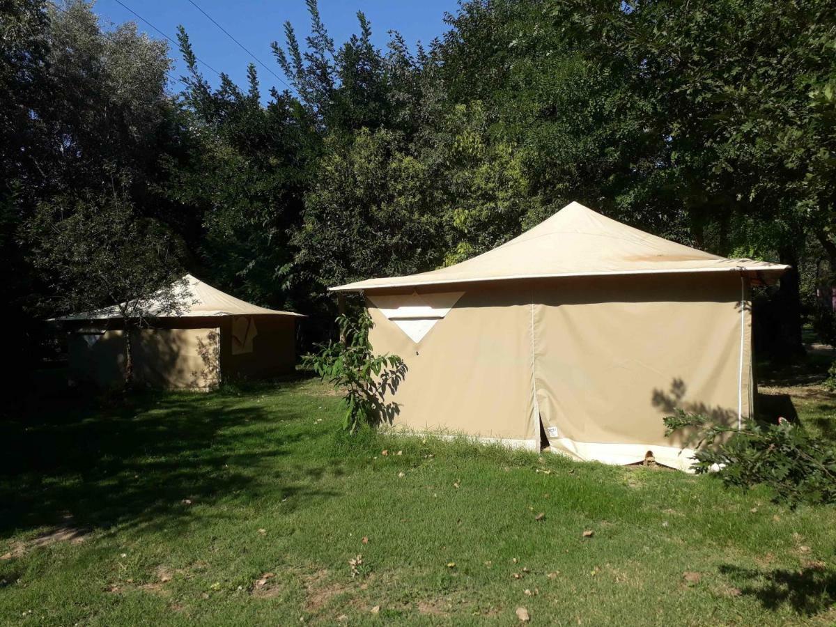 Camping Paradis Bellerive Montfrin Exteriör bild